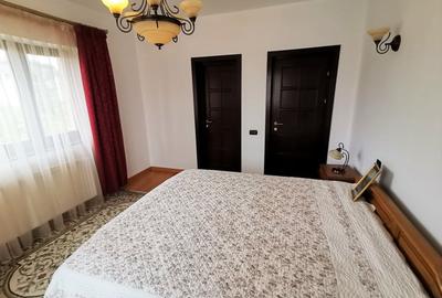 Inchiriere vila 5 camere in Voluntari-Andronache - 9