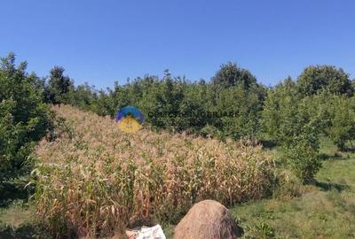 Teren Construcții intravilan de 1935 mp, în 1 Mai - 5