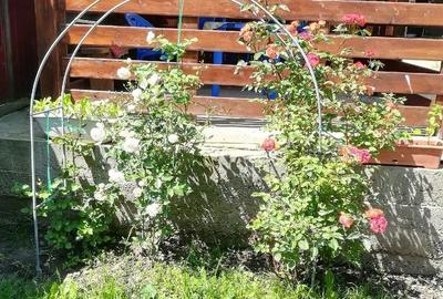 Casă cu 3 camere cu Teren 2000 Mp în Deleni - 3