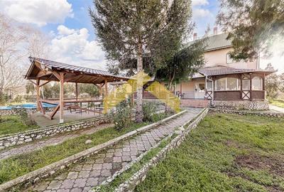 Motel de vanzare Mandruloc - 19