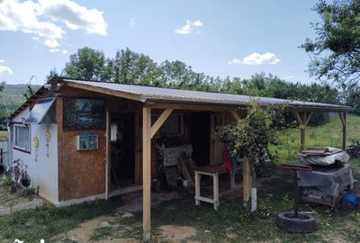 Casă cu 3 camere cu Teren 6750 Mp în Central - 7