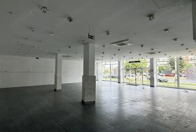 Spațiu comercial, de 360 mp, în Șega - 18