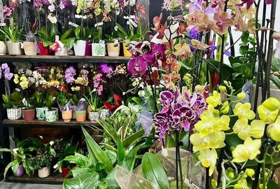 Spațiu comercial, de 70 mp, în Tineretului - 2