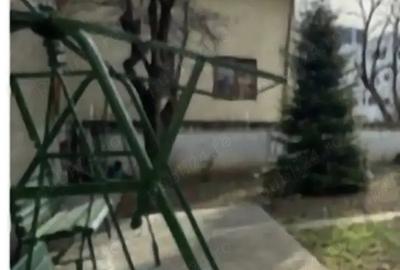 Vand vila Primaveri 500 metri teren 250 metri super pozitie si super zona super ieftina - 2