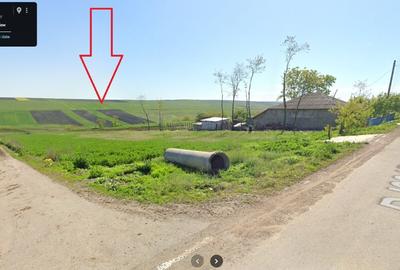 Persoana fizica - teren extravilan agricol Sipote, Jud. Iasi, 46500 mp - 2