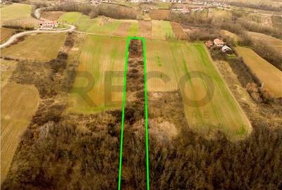 Spațiu comercial, în Ceica - 8