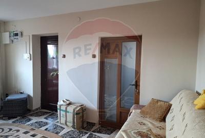 Casa / Vila cu 6 camere de vanzare in zona Calea Severinului - 8