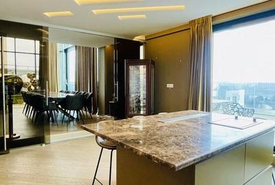 Floreasca | Penthouse | Duplex | Pescariu | Terasa - 18