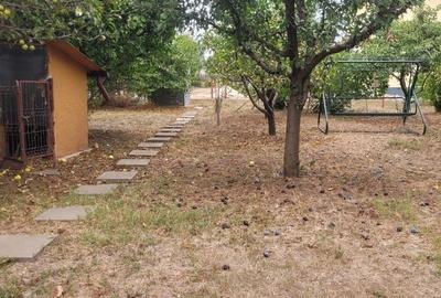 CASA SUPERBA 4 CAMERE ZONA VALU LUI TRAIAN 933MP - 37