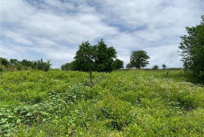 Casă cu 2 camere în Vârvor - 1