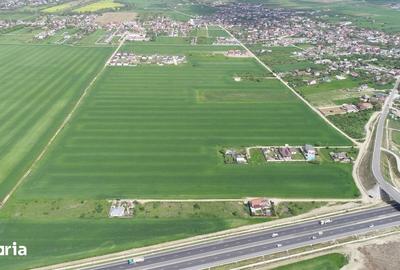 Teren de 40578 mp, în Ciorogârla - 12