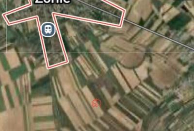 Teren extravilan Zorile Giurgiu 5000mp - 3