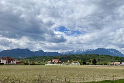 Teren plat P +4 Bran, panoramic munti, DN73, toate utilitatile - 11