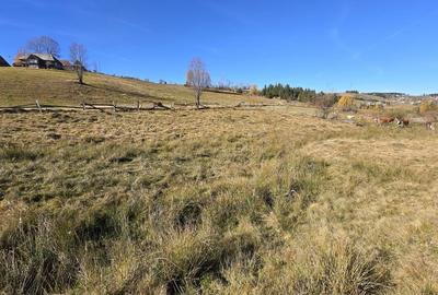 Teren extravilan, 4130mp, cu parau, la 500m de Primaria Marisel - 7