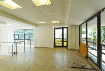 Spatiu pentru clinica - Titulescu /Banu Manta - 6