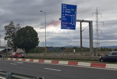 Teren de 107720 mp, în Florilor - 3