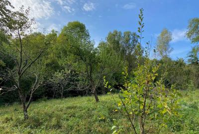 Spațiu comercial, în Podul Vadului - 7