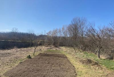 Casă cu 3 camere în Vârșești - 2
