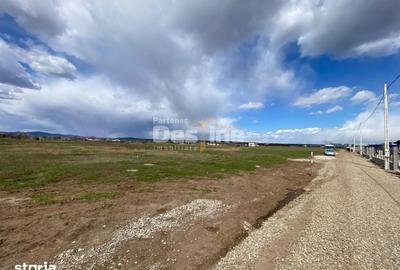 Teren de 900 mp, în Dumbrava - 7