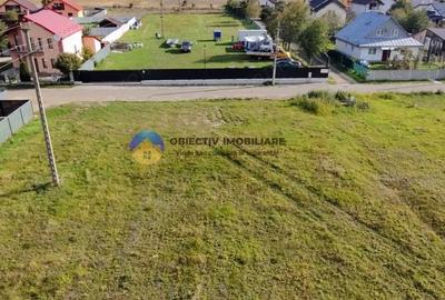 Teren de vanzare 1800 mp Dumbrava Ro?ie - 11