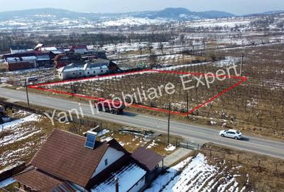 Teren de vanzare in comuna Mu?ate?ti, jude? Arge?. - 6