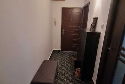 Apartament cu 2 camere decomandat în Luncă - 5