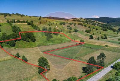 Teren Manastirea Humorului / Strada Principala 22,238 MP - 1