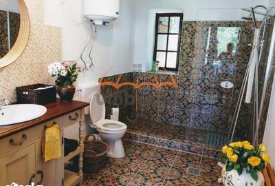 Casă cu 7 camere cu Teren 9948 Mp în Arefu - 14