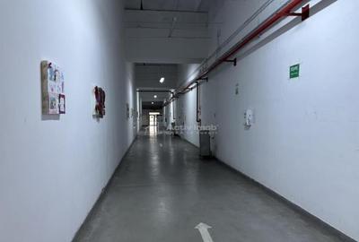 Complex industrial 30130 mp construit - Teren 42558 mp - 9