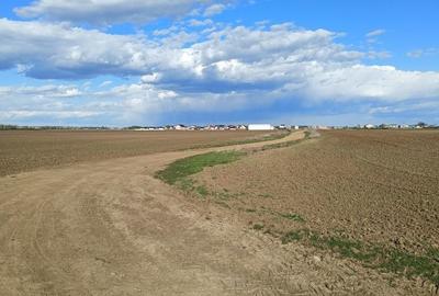Teren de 16750 mp, în Tunari - 5