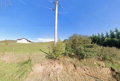 Teren de 5000 mp, în Crainimăt