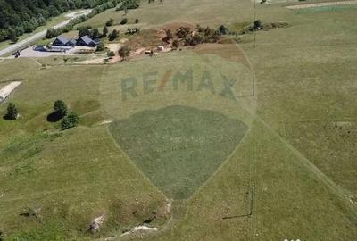 Teren de 5561 mp, în Paltin - 7