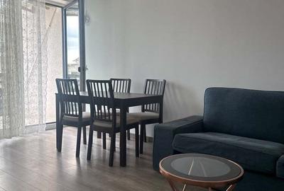 Apartament cu 2 camere Pet Friendly (Braytim) - 4