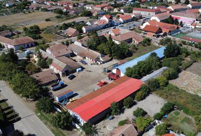 Cenad-Casa/Spatii Birouri- 150mp-teren 1065mp - 5