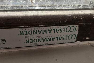 Casa individuala Bucovat P+M+POD Casa individuala Bucovat P+M+POD - 11