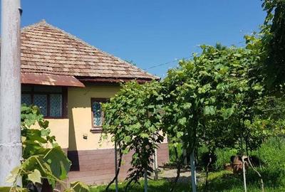 Casă cu 4 camere în Miluta