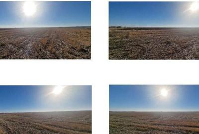 Teren de 4800 mp, în Grădinari - 3