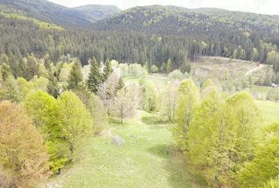 Teren de 7500 mp, în Cheia - 1