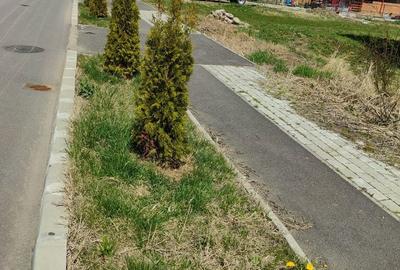 Casă cu 4 camere în Central - 9