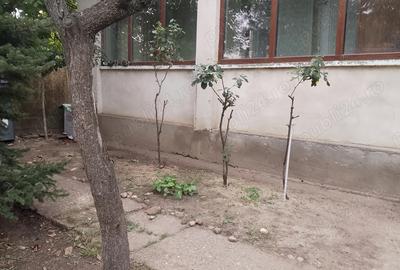 Se ofera spa?iu pentru depozitare. - 2