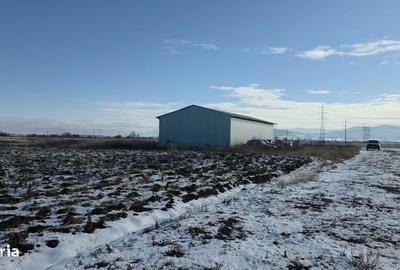 Teren de 5000 mp, în Central