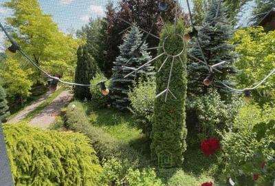 Proprietate deosebita cu gradina superba, luxurianta, 3000 mp, Breaza - 7