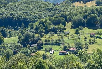 RECO Casa cu teren in Damis zona Valea Bratcutei - 1