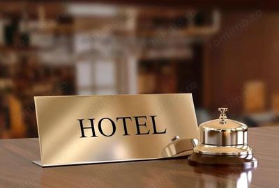 Hotel / Business / Timisoara - 1