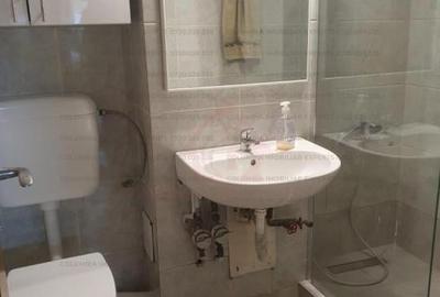 Dristor 1  oportunitate apartament 2 camere decomandat - 13