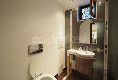 Penthouse cu 5 camere decomandat, mobilat în Herăstrău - 18