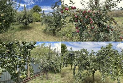 Casă cu 4 camere în Zădăreni - 9
