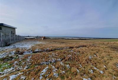 Teren intravilan de 1600 mp, în Cordău - 3