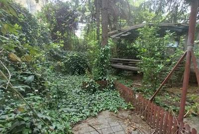 Casă individuală cu 11 camere cu Canalizare în Cișmigiu - 13