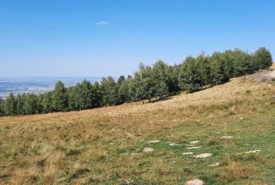 Vand teren montan 6.043mp , 20.000 euro, 55m deschidere- drumul Saliste - Crint - 2